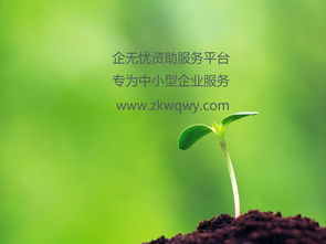 高新技術(shù)企業(yè)認定流程指南 技術(shù)開發(fā)類企業(yè)